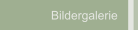 Bildergalerie